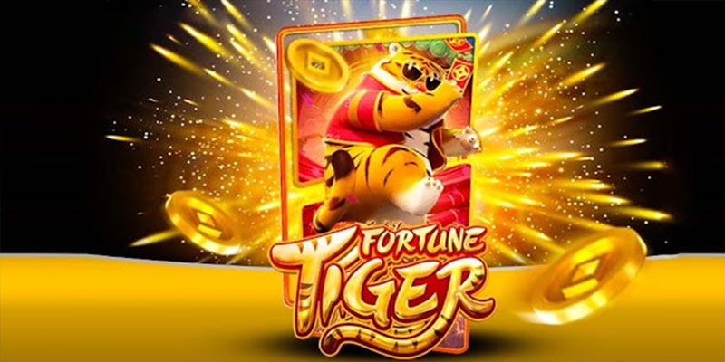 Quem é o Fortune Tiger win444